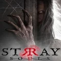 Versus Evil Stray Souls PC Game